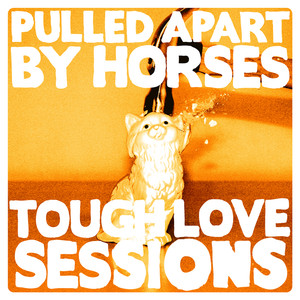 The Tough Love Sessions album