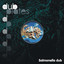 Inside the Dub Plates cover