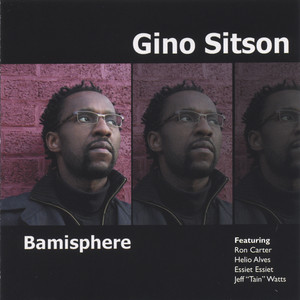 Bamisphere cover
