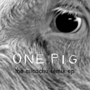 One Pig cover