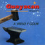 A verso y golpe cover