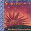 RockmusicSuperhealing Albumcover