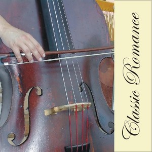 Various Artists & Orchester Helmuth Brandenburg