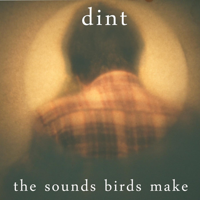 DiNT Photo