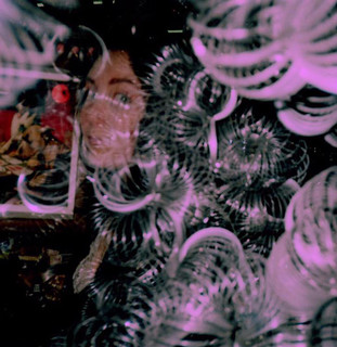 Boyfriend’s Dead Photo