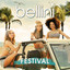 Festival cover