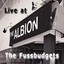 Live at the Albion Albumcover