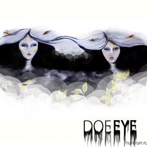 Doe Eye Photo