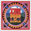 The Sons Of Champlin cover