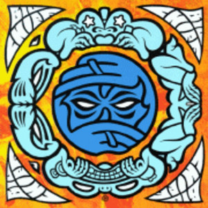 Face cover