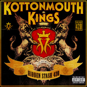 Hidden Stash cover