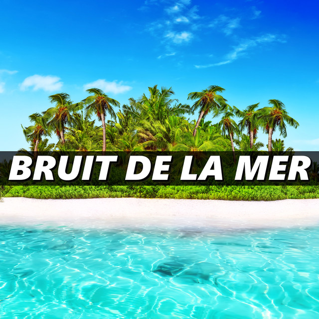 Détente Et Relaxation Bruit De La Mer