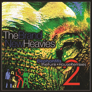 Elephantitis 2: The Funk + House Remixes album