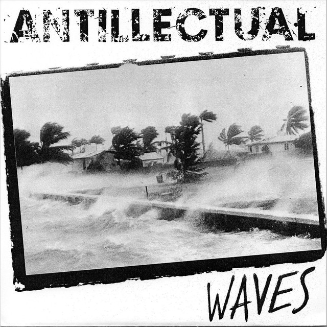 Waves cover