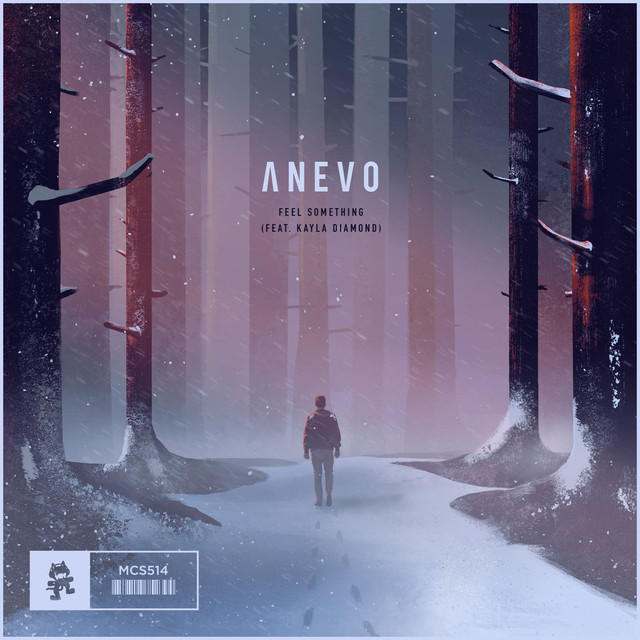 Anevo Photo