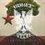 Solid Roots Albumcover
