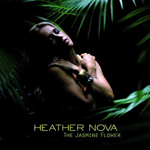 The Jasmine Flower album