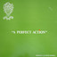 A Perfect Action (English Cricket) Albumcover