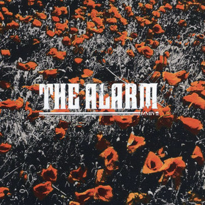 In the Poppy Fields album