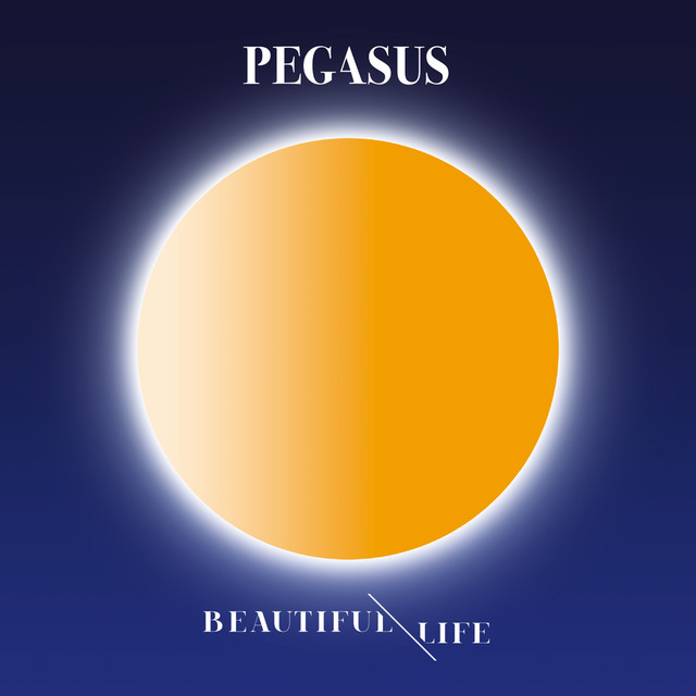 Musik Album 'Beautiful Life'