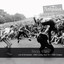 Live cover