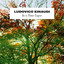Ludovico Einaudi: In a time lapse cover