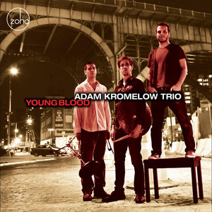 Adam Kromelow Trio