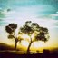 To Dust Albumcover