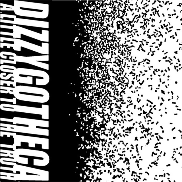 Dizzygotheca Photo