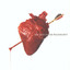 The Best of the Wildhearts cover