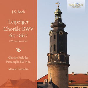 J.S. Bach: Leipziger Choräle, BWV 651-667 album