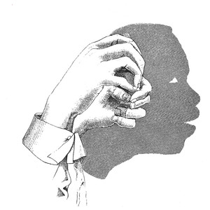 Avenue cover