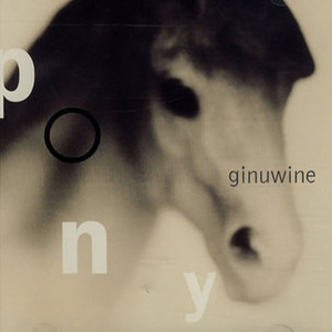 Pony album