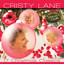 Christmas cover