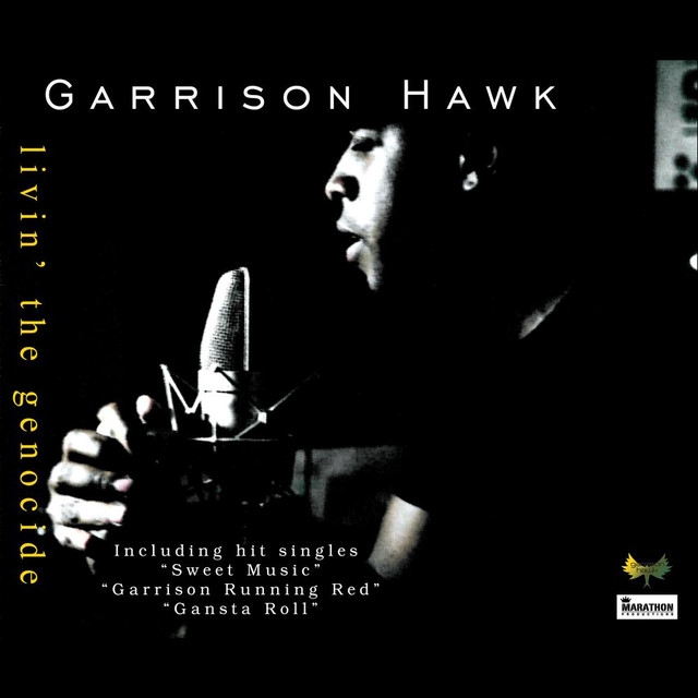 Garrison Hawk Photo