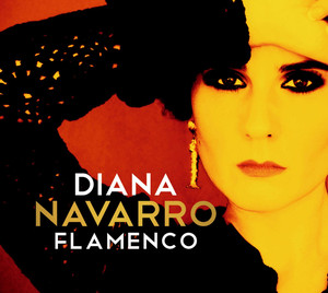Flamenco cover