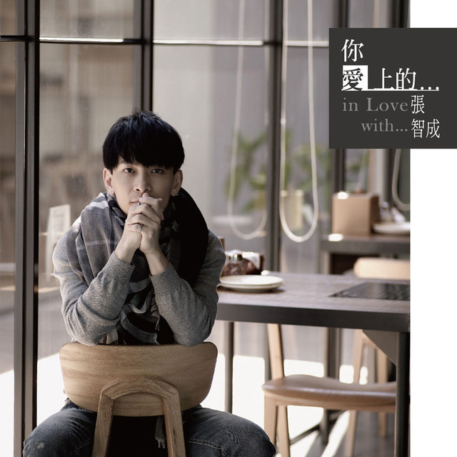 你愛上的…