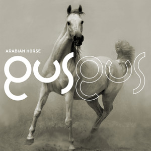 Arabian Horse album