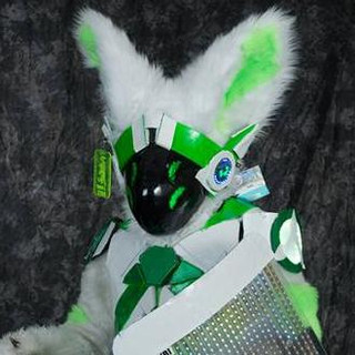 Hixbi Fox Photo