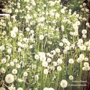El estanque Esmeralda cover