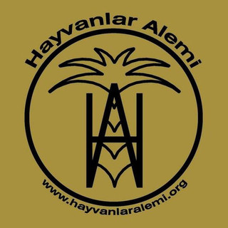 Hayvanlar Alemi Photo