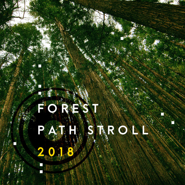 Forest Path Stroll 2018