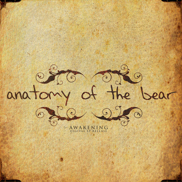 Anatomy of the Bear Photo