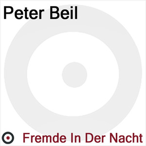 Fremde in der Nacht cover