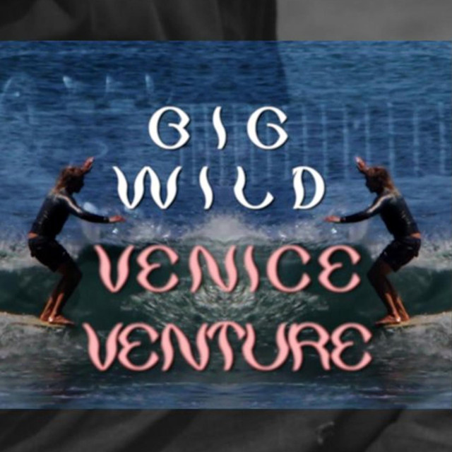 Venice Venture cover