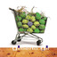 O sol de Oslo cover