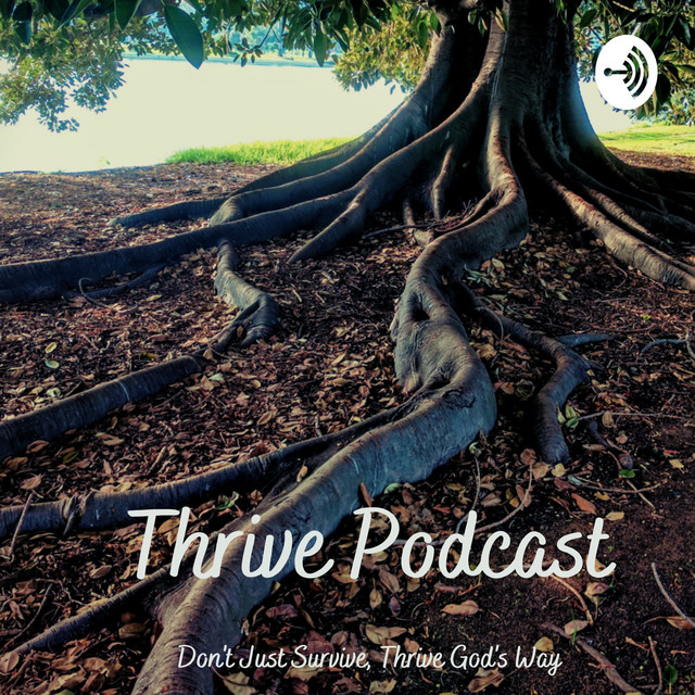 Thrive Podcast | Podcast on Spotify