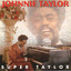 Super Taylor cover