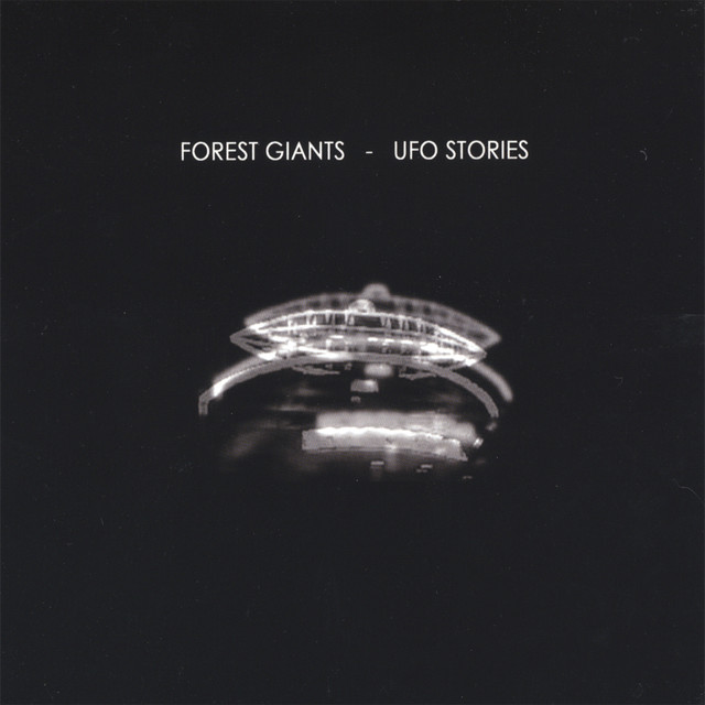 Forest Giants Photo
