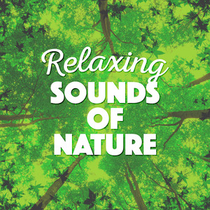 Relaxing Sounds of Nature album